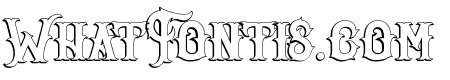 Senator Outline