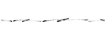 The Senom Swash