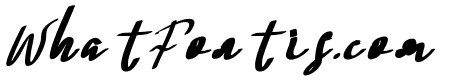 Soul Sistar Bold Italic