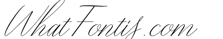 Justlynebold
