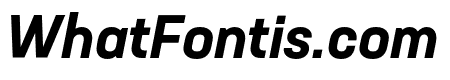 Neusa Next Std Compact Bold Italic