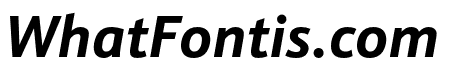Schnebel Sans Pro Cond Bold Italic