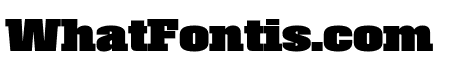 Roster Condensed Black