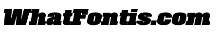 Roster Condensed Black Italic