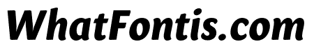 Sharik Sans ExtraBold Italic