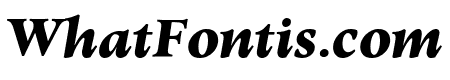 Elmhurst BlackItalic