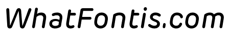 Rubrik New Medium Italic