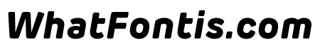 Rubrik Edge New ExtraBold Italic