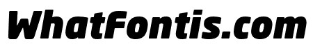 Neo Sans W1G Black Italic