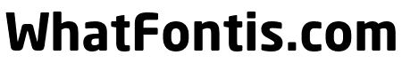 Neo Sans W1G Bold