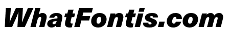 Neue Haas Unica W1G Black Italic