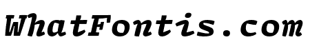 Array Mono Black Italic