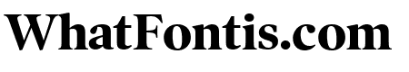 PoynterOSDispNarrow Bold