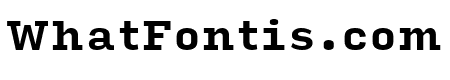 Input Serif Bold
