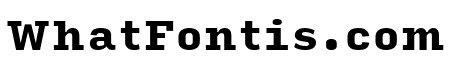 Input Serif Compressed Black