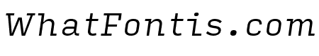 Input Serif Compressed Light Italic