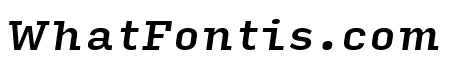 Input Serif Compressed Medium Italic