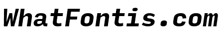 Input Mono Bold Italic