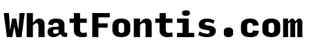Input Mono Compressed Black