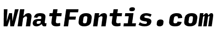 Input Mono Condensed Black Italic