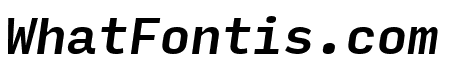 Input Mono Medium Italic