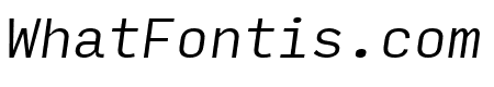 Input Mono Narrow Light Italic
