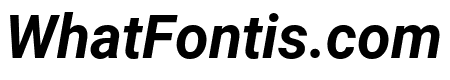 Roboto Mono Bold Italic