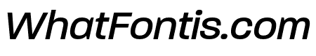 Paralucent Text Book Italic