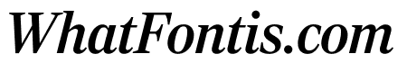 RockyComp MediumItalic
