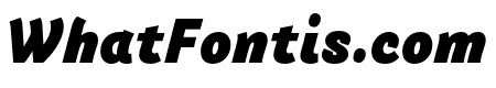 Arlette Black Italic