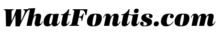 URW Antiqua Wide Ultra Bold Oblique