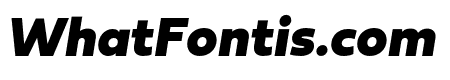Fieldwork Italic Black