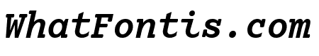 Lexia Mono Bold Italic