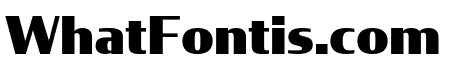CondorComp Black