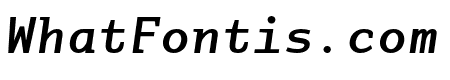 AdaptiveMono OT BoldOblique