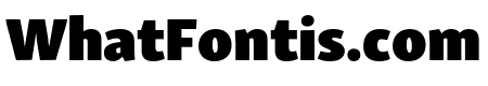 Skolar Sans PE Extended Black