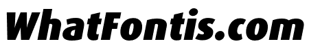 Dax Pro Cond Black Italic