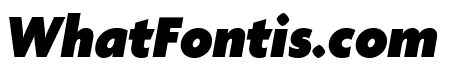 Agenda BlackItalic