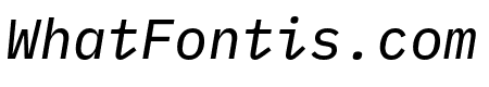 IBM Plex Mono Text Italic