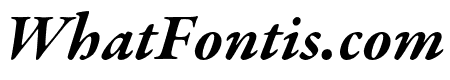 Garamond Premier Pro Bold Italic Caption