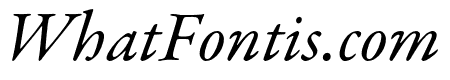 Garamond Premier Pro Italic Subhead