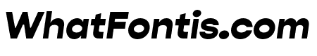 Gopher Black Italic
