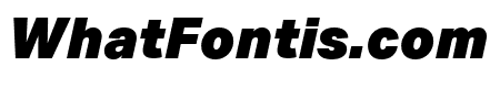 Aktiv Grotesk Ex Black Italic