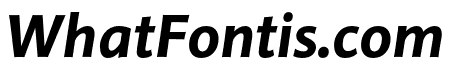 Pelago Bold Italic