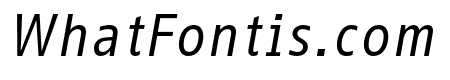 Info Display Pro Book Italic