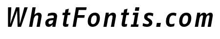 Info Text Pro Bold Italic