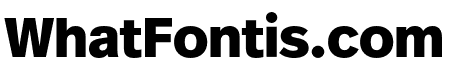 Real Text Pro Black Italic