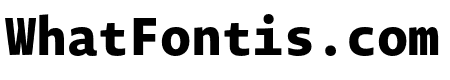 Novel Mono Pro XCmp XBold