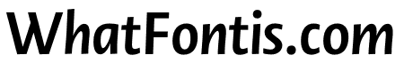 Novel Display XCnd Bold It