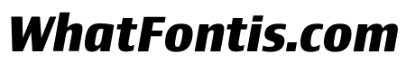 Newbery Sans Pro Bold It
